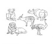 Coloriage animaux zoo