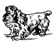 Coloriage chien cavalier king charles