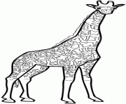 Coloriage dessin animaux girafe