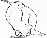 Coloriage dessin animaux pingouin