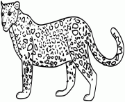 Coloriage dessin animaux leopard