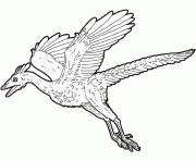 Coloriage dessin dinosaure archaeopteryx