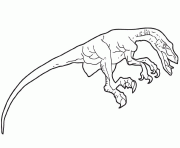Coloriage dessin dinosaure velociraptor