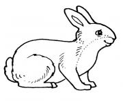 Coloriage paques lapin