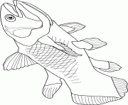 Coloriage coelacanth