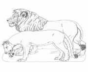 Coloriage lion et lionne