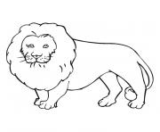 Coloriage lion majestueux