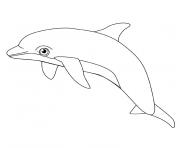 Coloriage dauphin commun