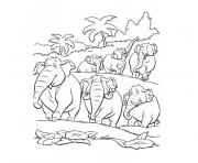 Coloriage jungle et elephants