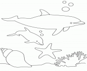 Coloriage dauphins et coquillages