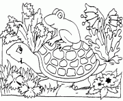 Coloriage une grenouille sur la carapace de la tortue