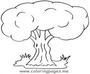 Coloriage arbre 125