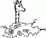 Coloriage une tete de girafe plus haute que les arbres