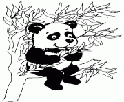 Coloriage panda dans un arbre