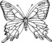 Coloriage papillon 22