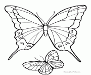 Coloriage papillon 295