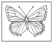 Coloriage papillon 2