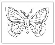 Coloriage papillon 9