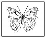 Coloriage papillon 137