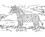 Coloriage zebre savane