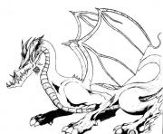 Coloriage dragon 249