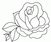 Coloriage fleur de rose