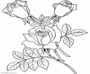 Coloriage roses 116