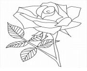 Coloriage roses 49
