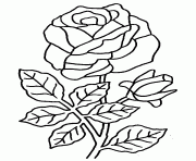 Coloriage roses 90