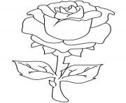 Coloriage roses 71