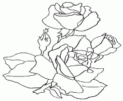 Coloriage roses 121