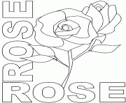 Coloriage rose rose