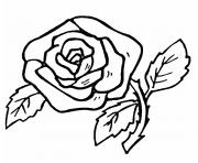 Coloriage roses 28