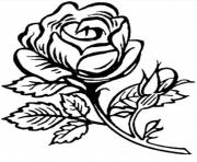 Coloriage roses 34
