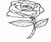 Coloriage roses 2