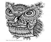 Coloriage adulte animaux hibou gros yeux