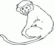 Coloriage Un singe avec sa queue