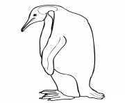 Coloriage penguin manchot