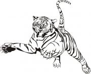 Coloriage tigre animal zoo adulte