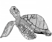 Coloriage zentangle turtle adulte