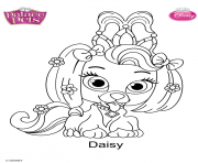Coloriage palace pets daisy disney