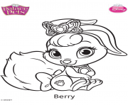 Coloriage palace pets berry disney