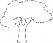 Coloriage arbre simple facile nature