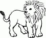 Coloriage dessin d un lionceau