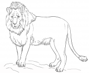 Coloriage lion by Lena London