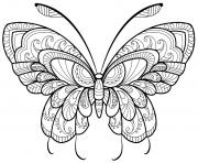Coloriage papillon adulte jolis motifs 11