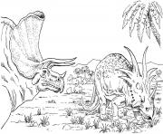 Coloriage deux triceratops dinosaures herbivores