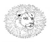 Coloriage mandala simple lion sauvage