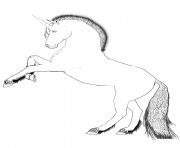 Coloriage horse with a single straight horn