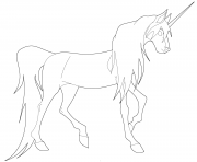 Coloriage young licorne